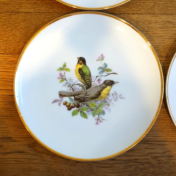 Vintage Set of Six Birds and Botanical Unique China Plates - Picture 3 of 8